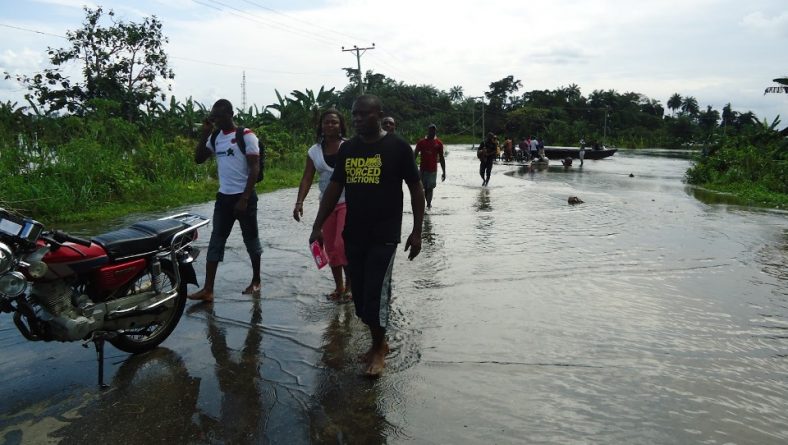 Photos: Celestine AkpoBari on field tour of flooded communities in the Niger Delta